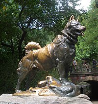 Balto szánhúzó kutya szobra a New York-i Central Parkban