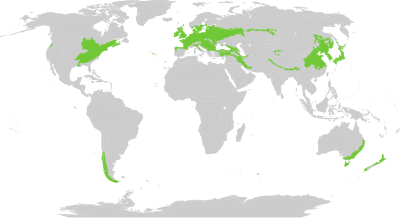 Extent of temperate broadleaf and mixed forests Biome map 04.svg