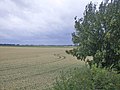 Blick vom Monarchenhügel über das ehemalige Schlachtfeld, im Hintergrund Großgörschen