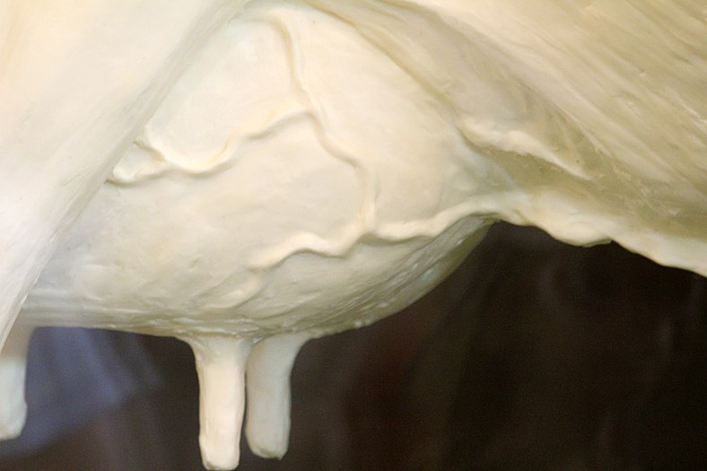 Photograph of a butter sculpture of a cow's veiny udder