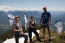 Members of the Cascades Butterfly Citizen Science Team pictured on Sauk mountain Cascades Butterfly Project Team (8273990532).jpg