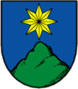 Wappen von Český Šternberk