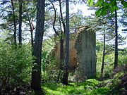 Archaeological site "La Cetate"