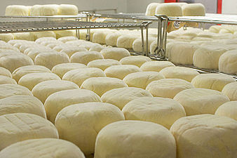 Racks of cheese resting