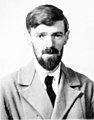 D.H. Lawrence, novelist