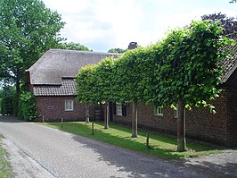 De rijksmonumentale boerderij de Leeuwenhof