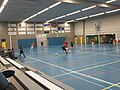 Miniatuur voor Sportlandgoed De Haamen