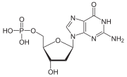 Deoxyguanozínmonofosfát