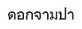 2009年10月23日 (五) 09:58版本的缩略图