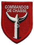 Vignette pour Commandos de chasse