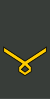 Georgia-Army-OR-8.svg