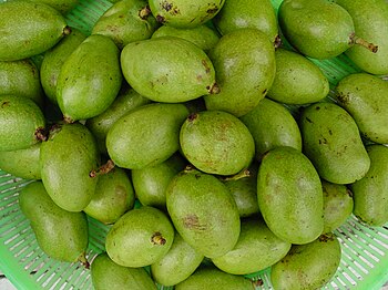 Native green mangoes from the Philippines