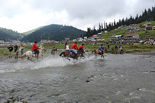 Jaarlijkse paardenraces