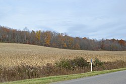 Fields along Ideal Road, northeast of Byesville