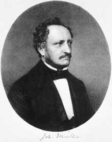 Johannes Peter Müller