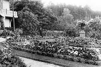 Trädgården på 1920-talet.