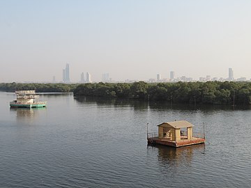 Šume mangrova su u izobilju južno od Karačija u Pakistanu