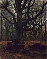 Karl Bodmer - Oaks and Wild Boars - 06.3 - Museum of Fine Arts