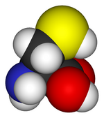 Space-filling model of the amino acid cysteine