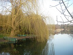 L'Ardusson à Marigny-le-Châtel en hiver.