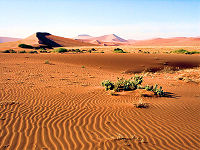 דיונות חול במדבר נמיב