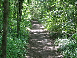 Natchez Trace Trail.jpg