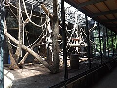 Antigua vista de la zona exterior de los orangutanes
