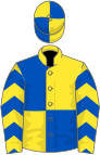 Yellow and royal blue (quartered), chevrons on sleeves, quartered cap