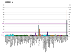 PBB GE GGCX 205351 в формате fs.png