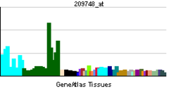 PBB GE SPAST 209748 ĉe tn.png