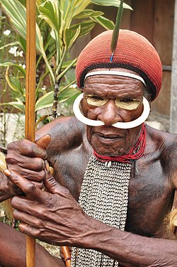 Pakaian adat suku Dani dengan dua buah taring babi yang menandakan bahwa ia seorang prajurit perang