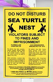 Legal notice posted by a sea turtle nest at Boca Raton, Florida Sea turtle nest sign (Boca raton, FL).jpg