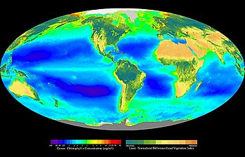 Composite image showing the global distribution of photosynthesis, including both oceanic phytoplankton and terrestrial vegetation. Dark red and blue-green indicate regions of high photosynthetic activity in the ocean and on land, respectively. Seawifs global biosphere.jpg