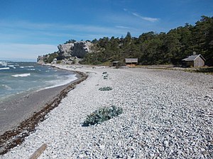 Sigsarve strand, litet fiskeläge