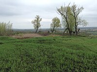 Lake near Beryozovaya st. 2014