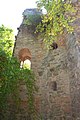 Burgruine Stollburg