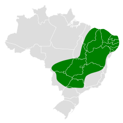 Distribución geográfica del batará pizarroso del Planalto.