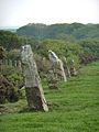 Nine Maidens