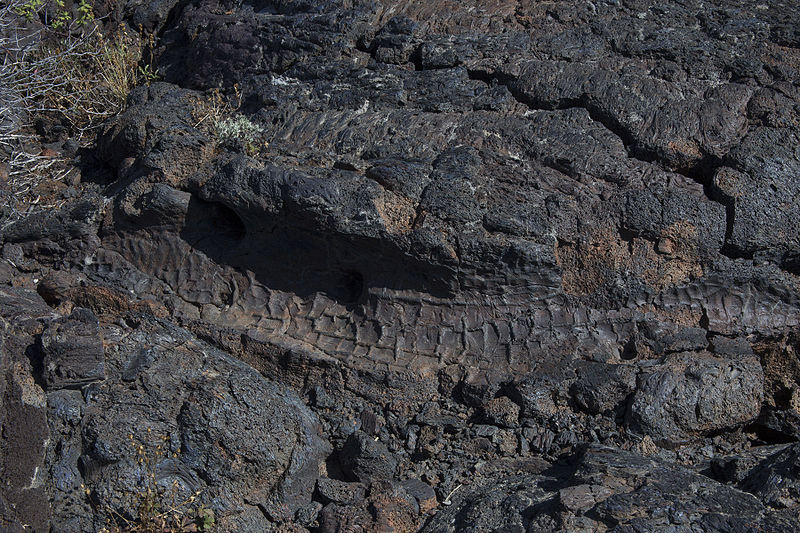 File:Tree Mold showing bark at Craters of the Moon National Monument.jpg