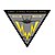 USN JSF Wing insignia.jpg
