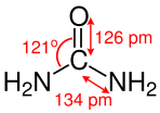 Harnstoff, Bindungslängen und -winkel