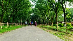 WalkWay национального ботанического сада Бангладеш.jpg