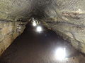 Lava tunnel (El Chato Reserve, Santa Cruz Highlands, Galápagos), inside view pic