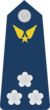 Đại Tá-Airforce 1.png