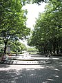 白川公園