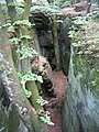 Im Wald bei Berdorf in Luxemburg