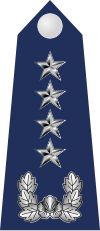 19.SKAF-GEN.svg