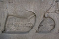 Hieroglypheninschrift zwischen den linken Beinen des linken Stiers