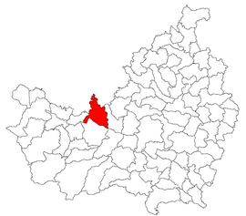 Location in Cluj County