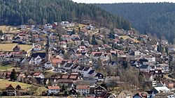 Skyline of Baiersbronn